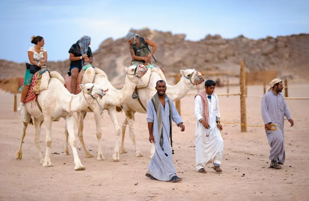 Camel riding tourists across desert dunes near Hurghada