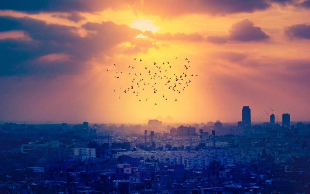 Sunset over Cairo