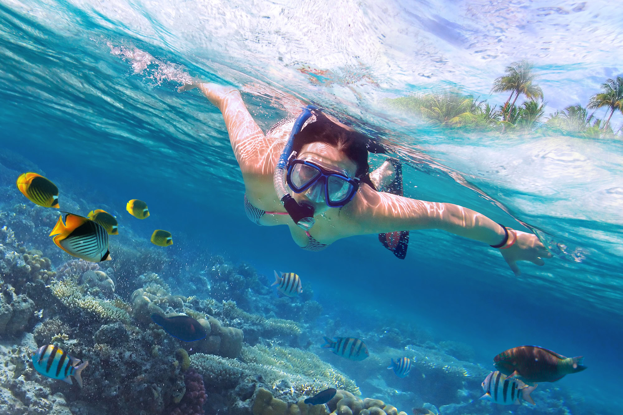 Snorkeler swimming above vibrant coral reef with tropical fish in Red Sea waters