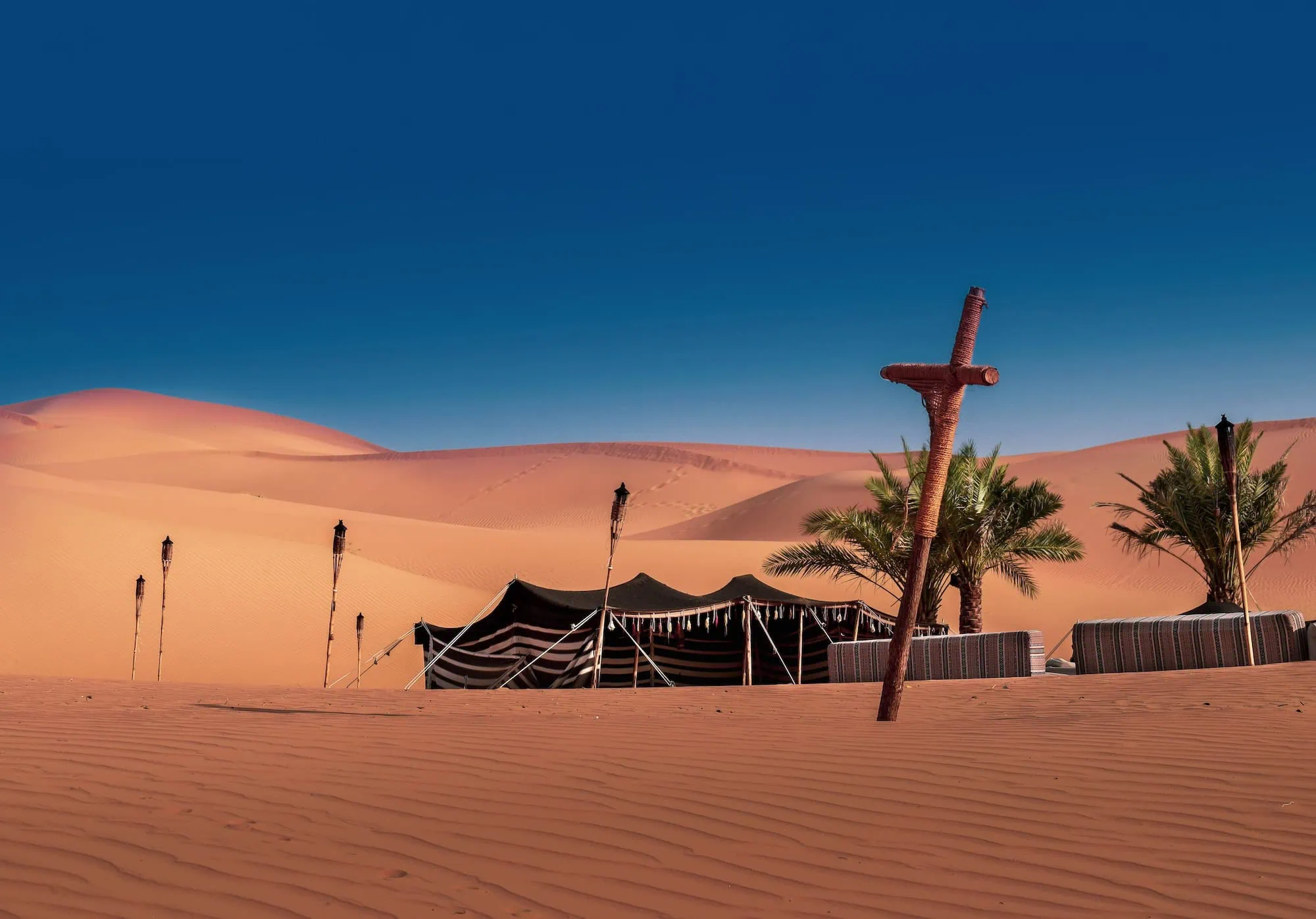 Desert camping setup with tents and palm trees under starry sky in western desert