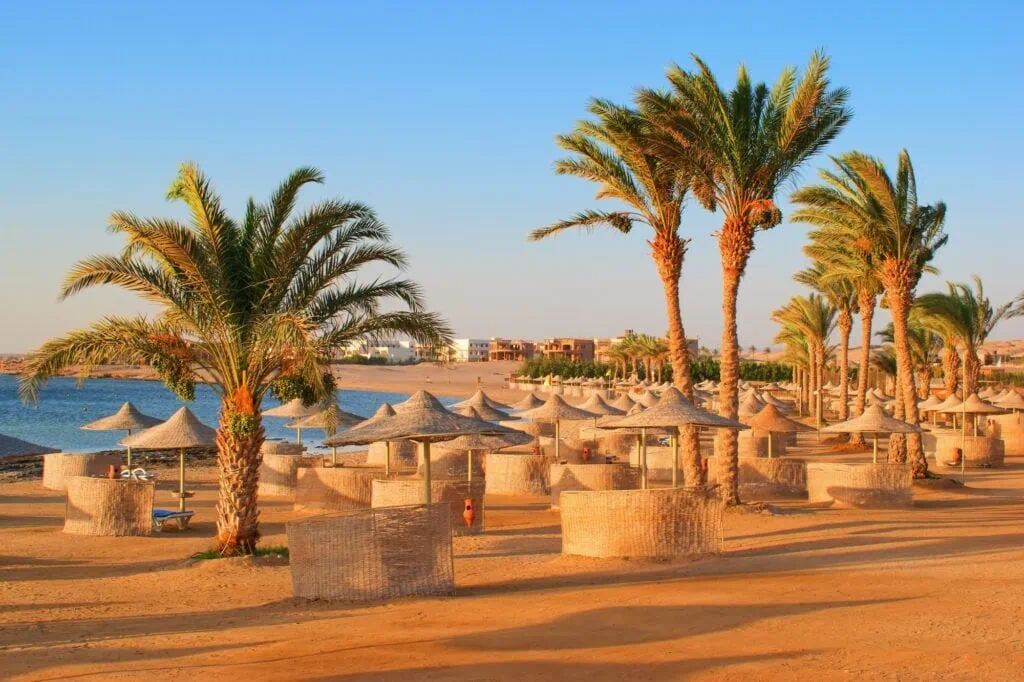 Palm trees, sun umbrellas, and calm water on Egypt's Red Sea coast