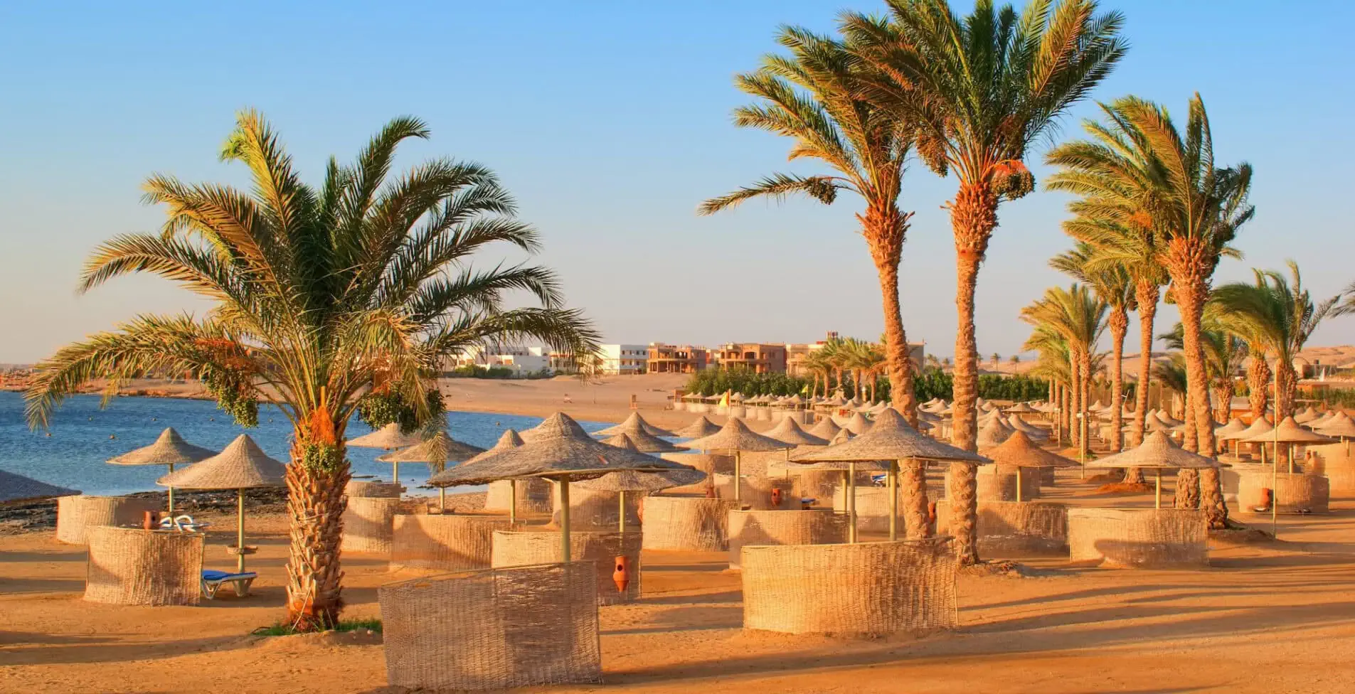Idylic beach with palms and sun umbrelas Red Sea Egypt