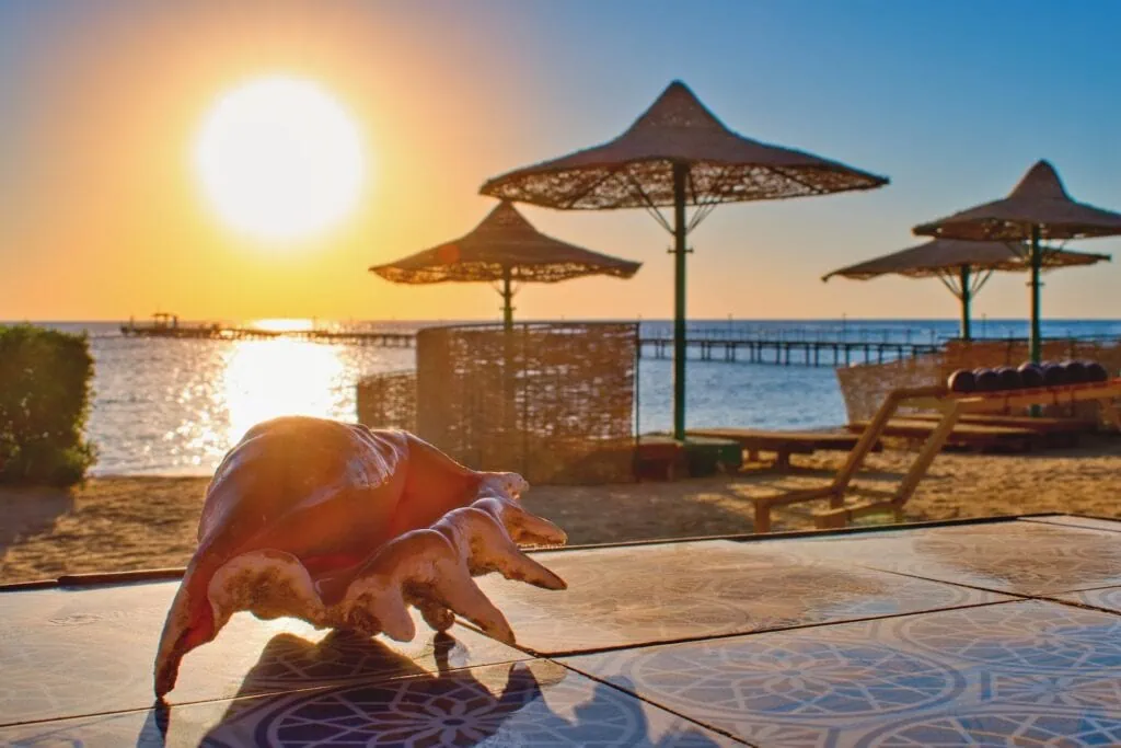 Relaxing beach view along the Red Sea
