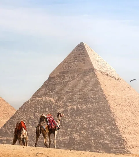 Egypt for Families