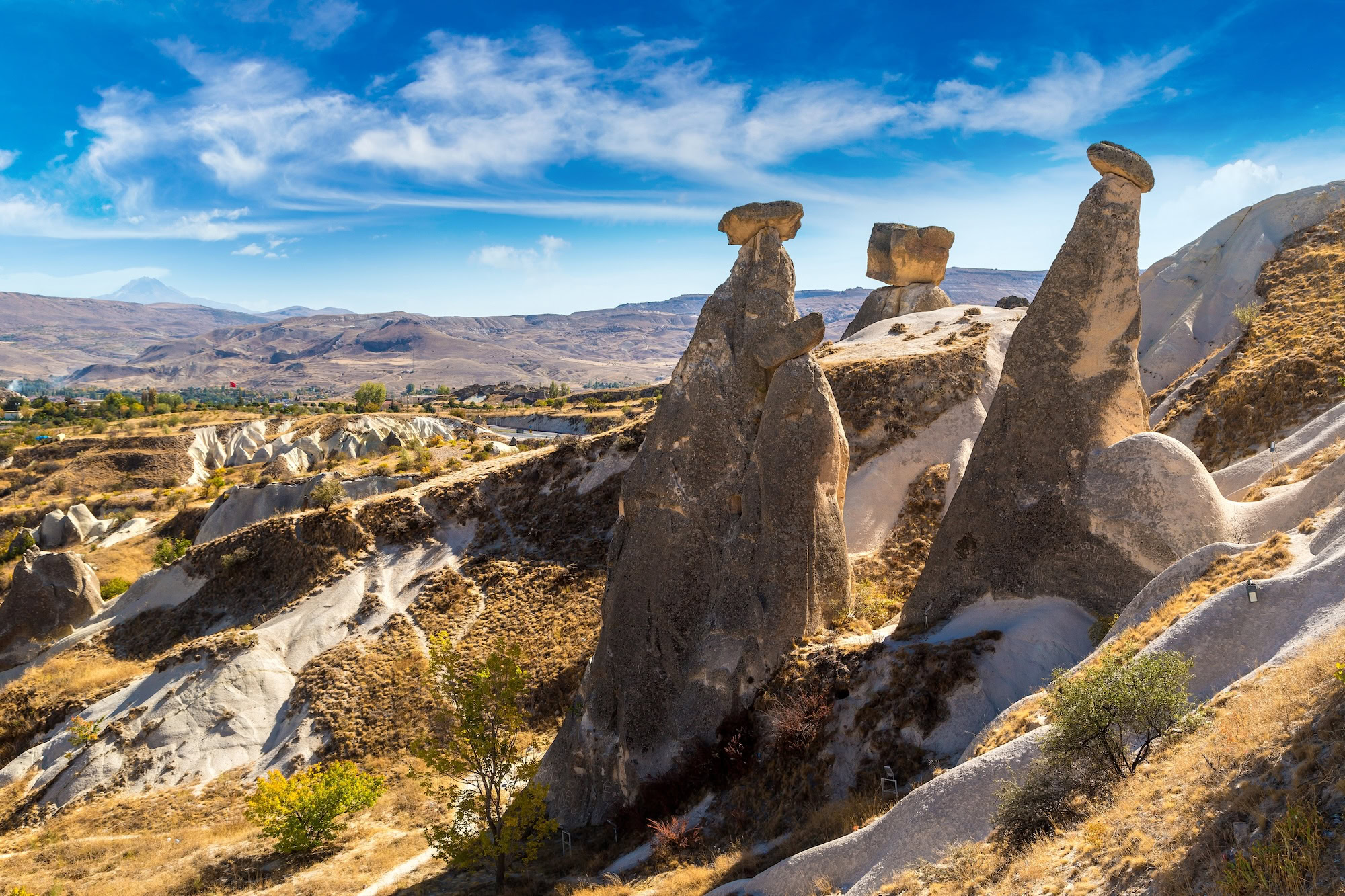 Formaciones rocosas únicas de chimeneas de hadas en Capadocia con valle y montañas