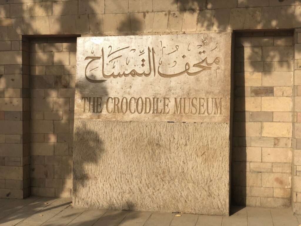The Crocodile Museum at Kom Ombo Temple showcasing ancient mummified crocodiles