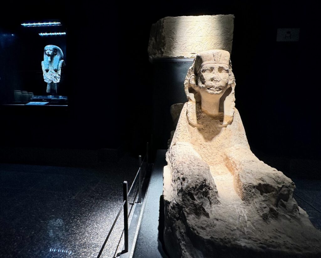 Stone statue illuminated inside the Imhotep Museum