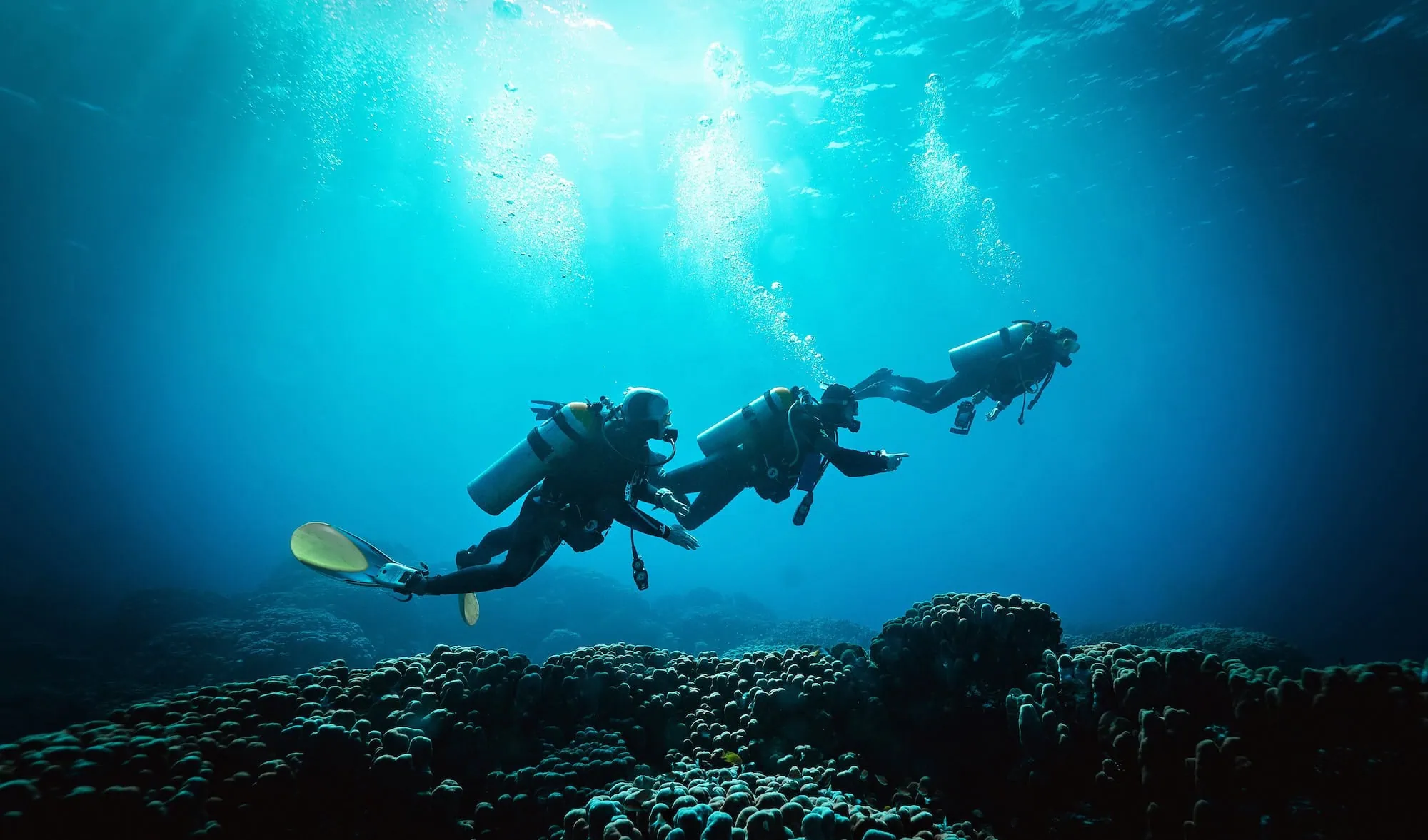 Three scuba divers exploring coral reef underwater in the Red Sea