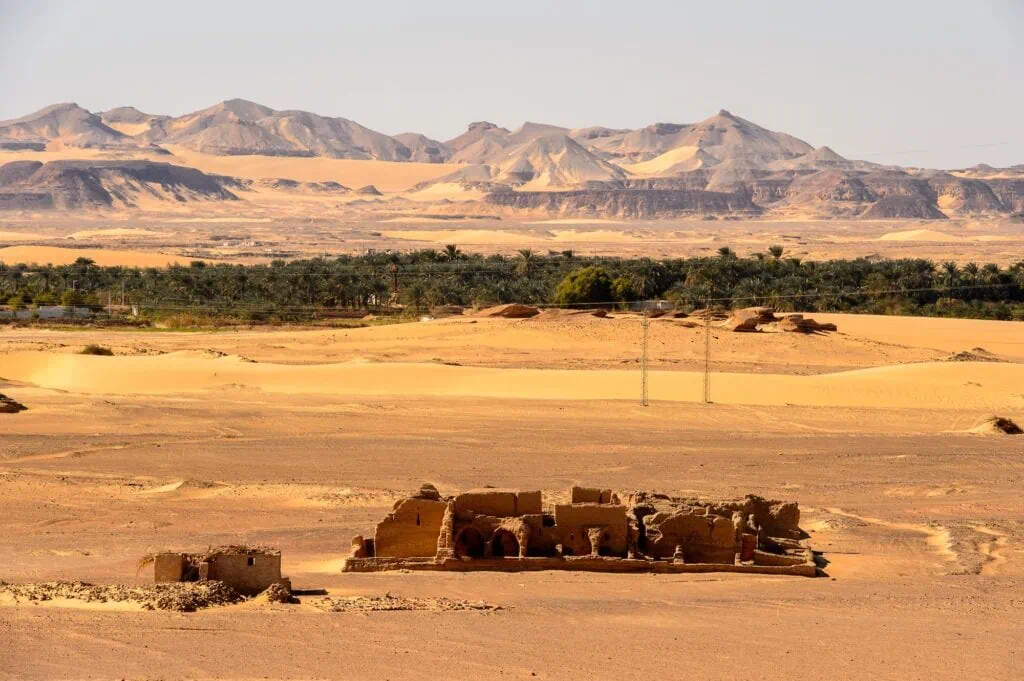 Tomb of Al-Bagawat with surrounding date palm trees, Kharga Oasis