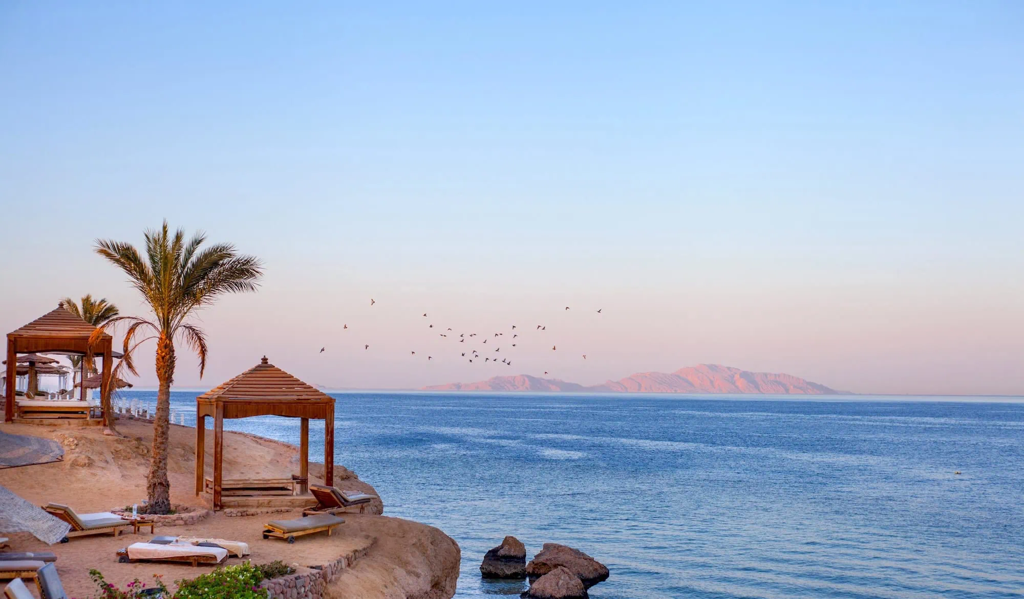 Luxury beach resort on the Red Sea with loungers, gazebos, and pristine waters