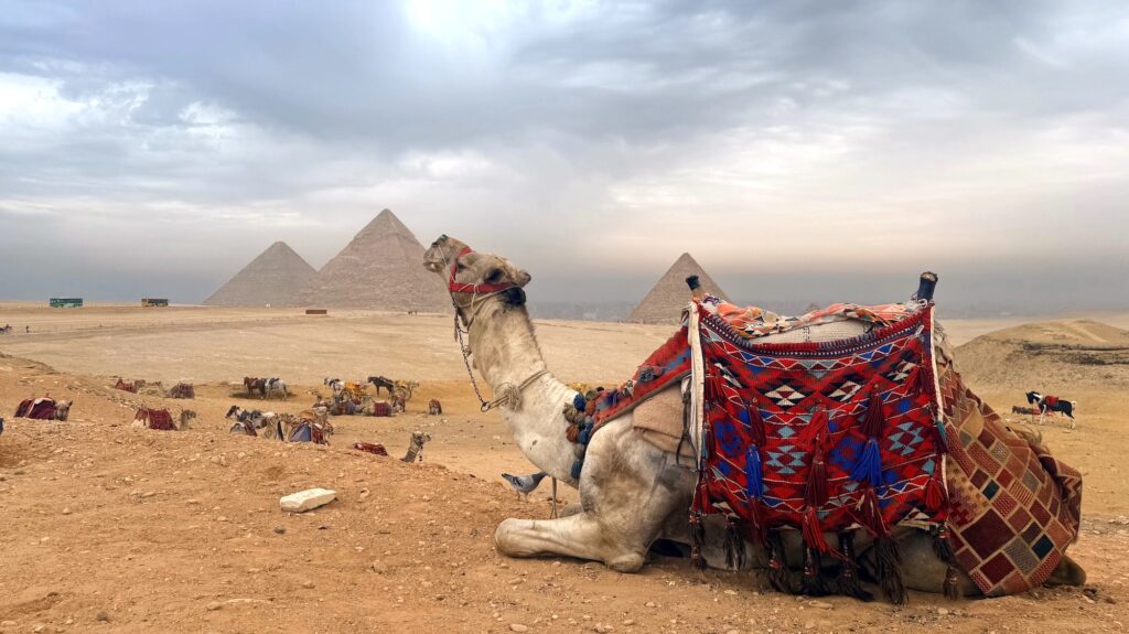 View of the Giza pyramids rising above desert plateau in Giza
