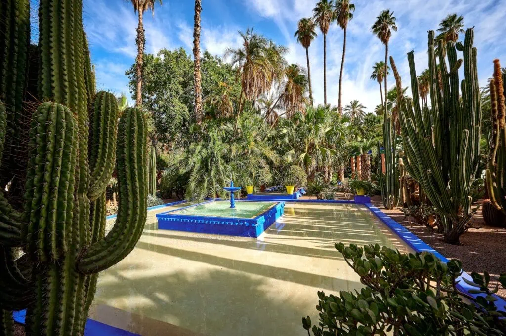 Jardin Majorelle with water fountain and large cactus plants in landscaped garden setting, Marrakesh
